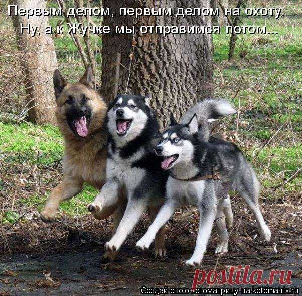 Михаил Якименко