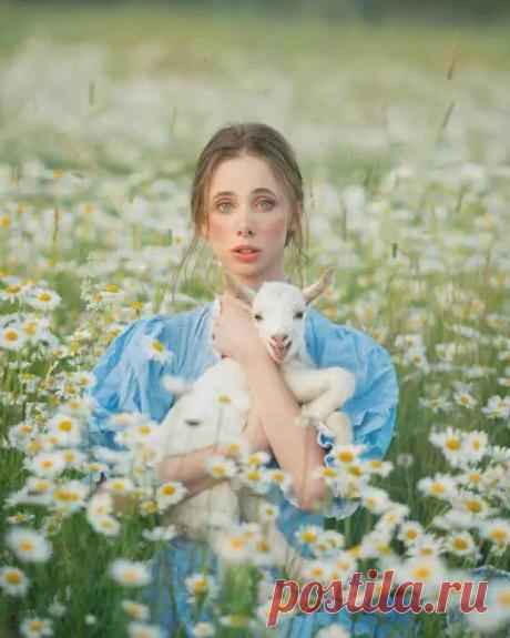 Фотографии людей и животных, которые похожи на иллюстрации к сказкам