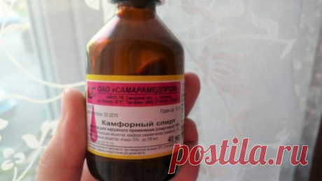 Комары и мошки облетают мои окна стороной: использую самодельное средство и больше не боюсь укусов насекомых | Блог Экономки | Пульс Mail.ru