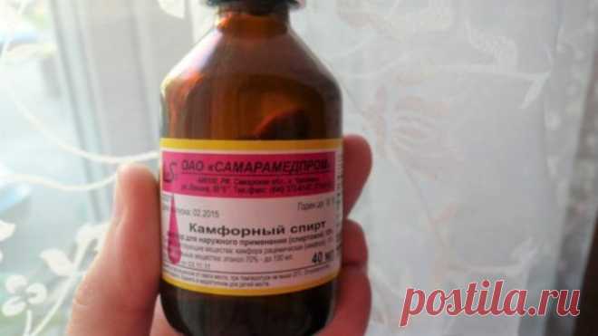 Комары и мошки облетают мои окна стороной: использую самодельное средство и больше не боюсь укусов насекомых | Блог Экономки | Пульс Mail.ru