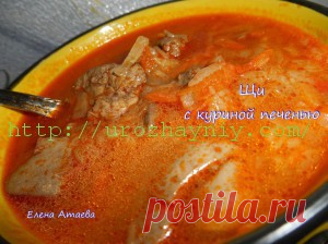 Щи с куриной печенью | Урожайная дача, интернет журнал, все о даче