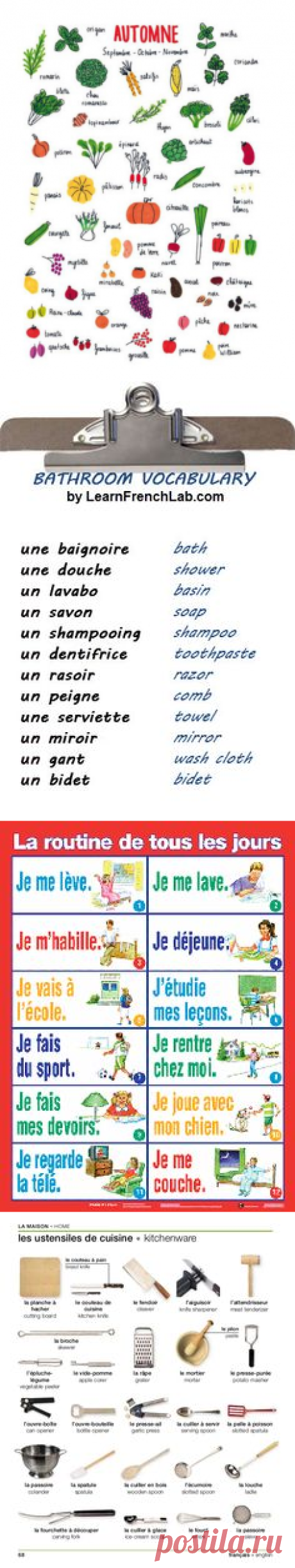 Automne/fall. Learn french | French Language Learning