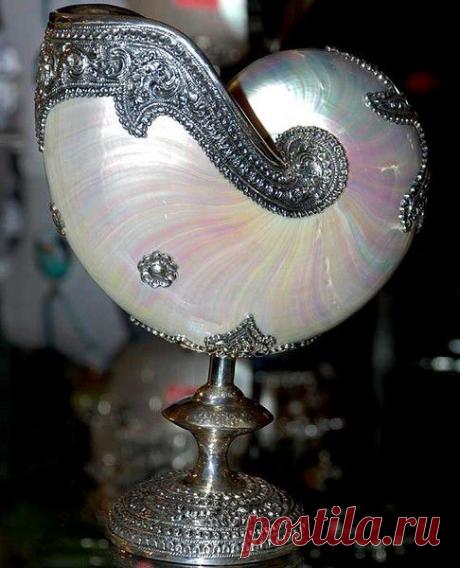 чудеса норма жизни