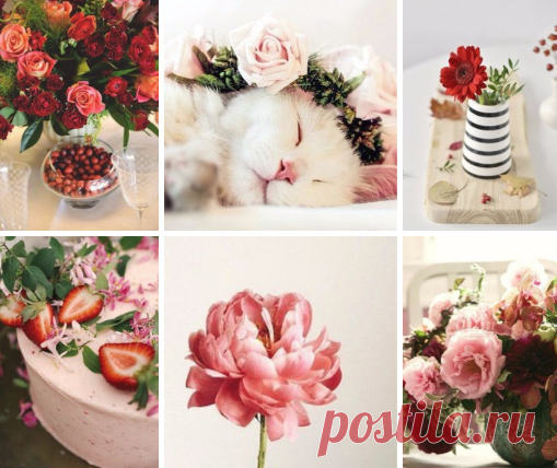 Счастье - это когда тебе абсолютно без разницы какой сегодня день недели: понедельник, вторник... суббота или воскресенье... Ты просто счастлив в любой из этих дней.