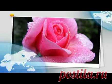 ТАТЬЯНИН ДЕНЬ.avi