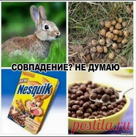 52 прикольные картинки для поднятия настроения . Тут забавно !!!