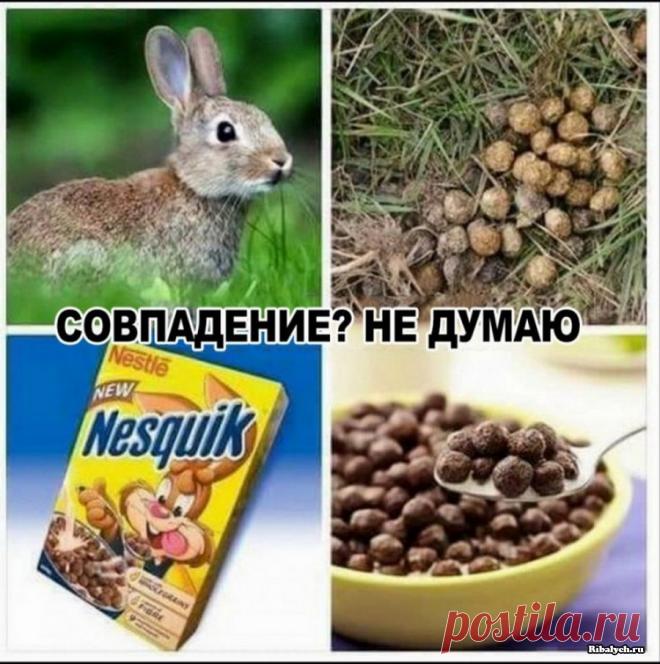 52 прикольные картинки для поднятия настроения . Тут забавно !!!