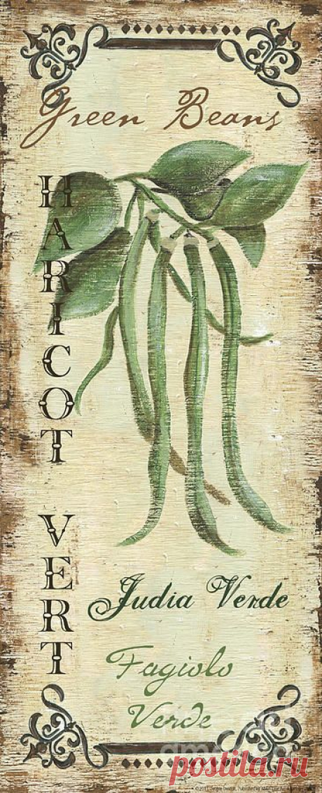 Vintage Vegetables 2 by Debbie DeWitt