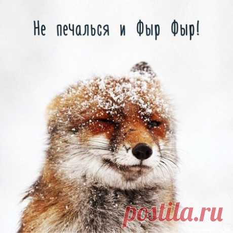 Смешное … разнообразие …