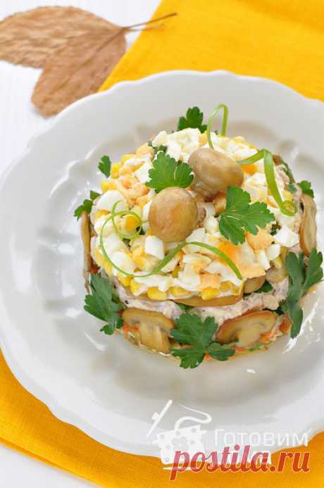 Салат "Осенний" (с курицей, грибами и маринованными огурцами) - пошаговый рецепт с фото на Готовим дома