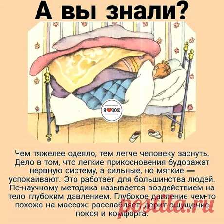 Чем тяжелее одеяло, тем легче человеку заснуть
