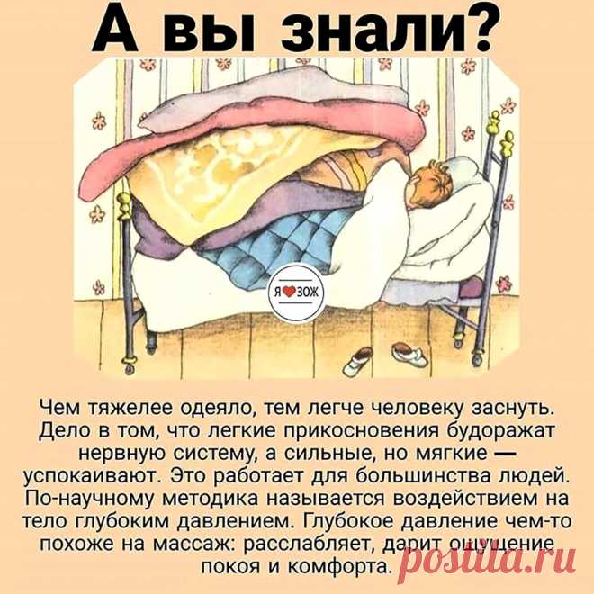 Чем тяжелее одеяло, тем легче человеку заснуть