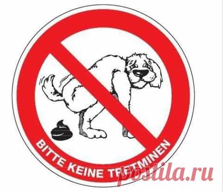 Собачья жизнь в Германии / Изучение немецкого языка