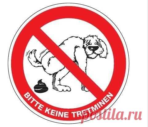 Собачья жизнь в Германии / Изучение немецкого языка