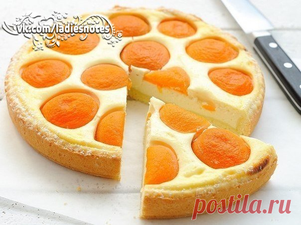 Творожный пирог с абрикосами / Web-Кулинария
