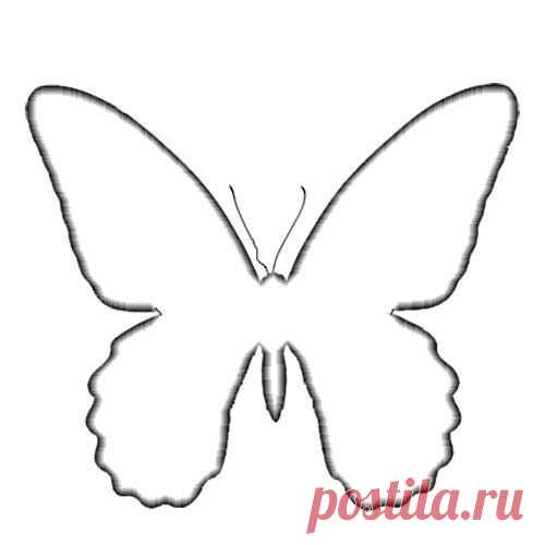 Фотографии на стене сообщества | 32 851 фотография | ВКонтакте