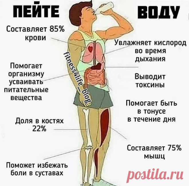 Сколько воды в день пьёте Вы?