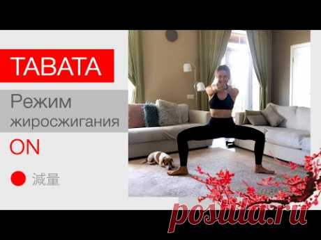 TABATA - лучшая тренировка для похудения и  ускорения метаболизма + растяжка+Мышцы тазового дна