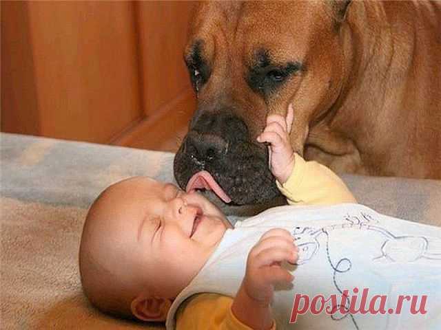 getImage (изображение «JPEG», 640 × 480 пикселов)