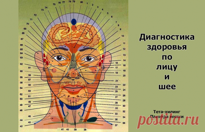 Диагностика здоровья по лицу и шее