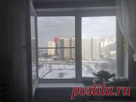 Москитная сетка антикошка, цены от 820 р. Москва, Марьино.