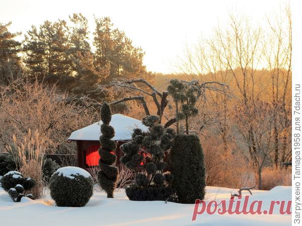 Утренняя прогулка по зимнему саду