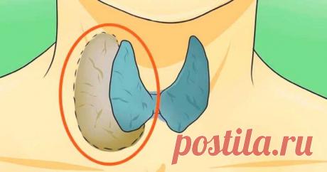 Врачи это скрывали от нас: Узнайте, как правильно лечить проблемы с щитовидной железой!