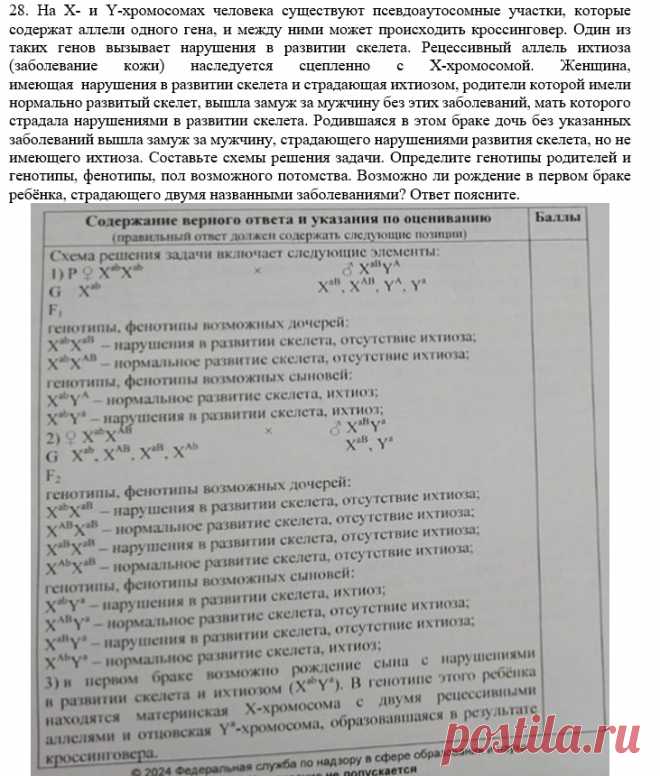 RxJsEFPSogQ.jpg (731×860)