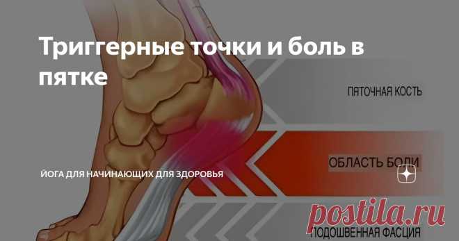 Триггерные точки и боль в пятке Статья автора «Йога для начинающих для здоровья» в Дзене ✍:   Камбаловидная мышца — широкая и плоская, она покрывает и формирует область голени, действуя как «второе сердце», которое помогает...