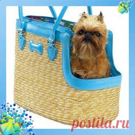 Сумка переноска для собаки. Выкройка 2