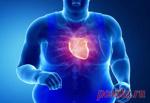 Первые признаки сердечной недостаточности. Не пропустите их - Социальная медицина - Медиаплатформа МирТесен