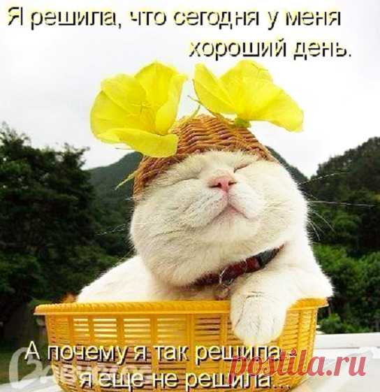 А хотите, я согрею вам душу? - МИР КРАСОТЫ, МУДРОСТИ И ПОЗИТИВА - Группы Мой Мир