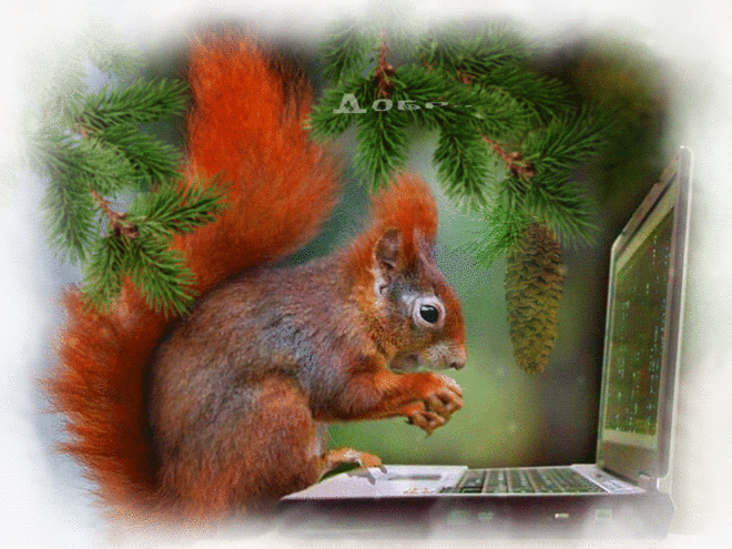 доброго-утра.GIF (750×563)