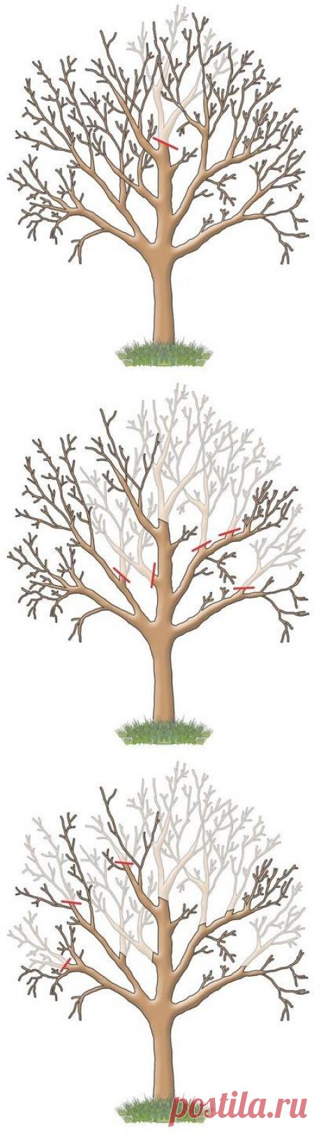 (1) Одноклассники