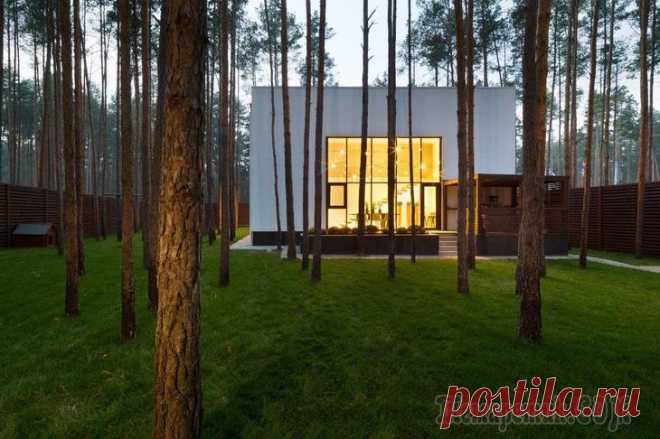 Частный дом в сосновом лесу Украинское дизайн-ателье Yakusha Design представило завершенный проект частного дома под названием «Куб». Он представлен 200 квадратными метрами площади и расположился в пригороде Киева, Украина. Форм...