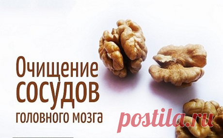 Очищение сосудов головного мозга