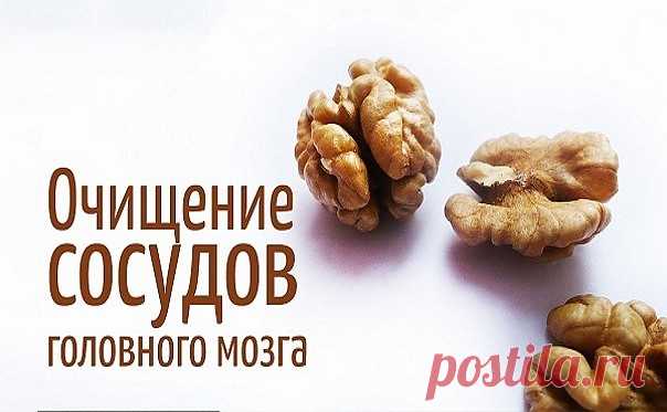 Очищение сосудов головного мозга