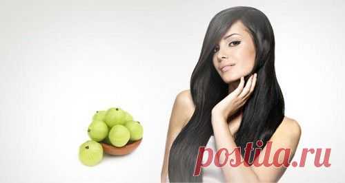Амла для укрепления волос — изумрудное колдовство