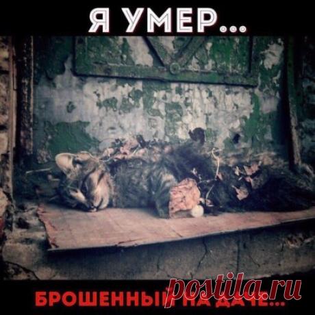 ЭТО ОЧЕНЬ ВАЖНО!!!
Не бросайте животных на дачах!
Из тысяч брошенных в деревнях и на дачах животных, к концу зимы выживают единицы. Не нужны они вам, найдите тех, кому они будут нужны! Разместите объявления, сделайте все возможное, чтобы спасти их от мучительной смерти!!!
Каждой осенью отмечают резкое увеличение кол-ва бездомных животных. Их ряды пополняют животные, которых дачники бросают на произвол судьбы, уезжая на зиму в теплые квартиры.
Представьте: загородный участо...