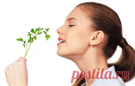 Повелительница свежести – петрушка для лица | Краше Всех