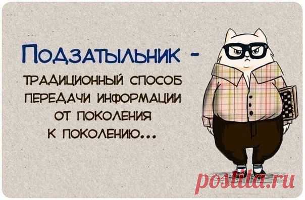 Новости