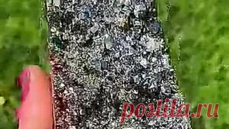 VID-20220216-WA0010.mp4