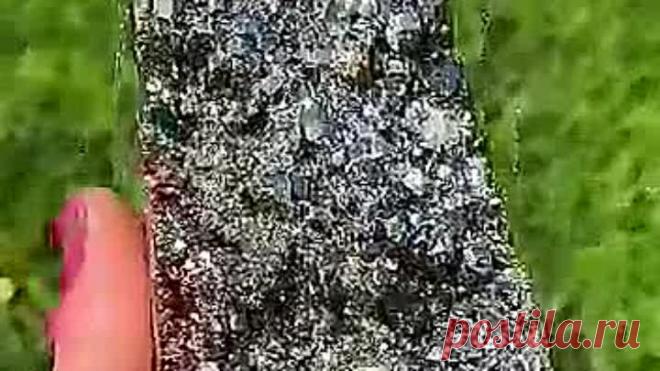 VID-20220216-WA0010.mp4