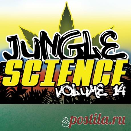 FX909, 3rd Sh4de, Sweetbread Junior - Jungle Science, Vol. 14 free download mp3 music 320kbps