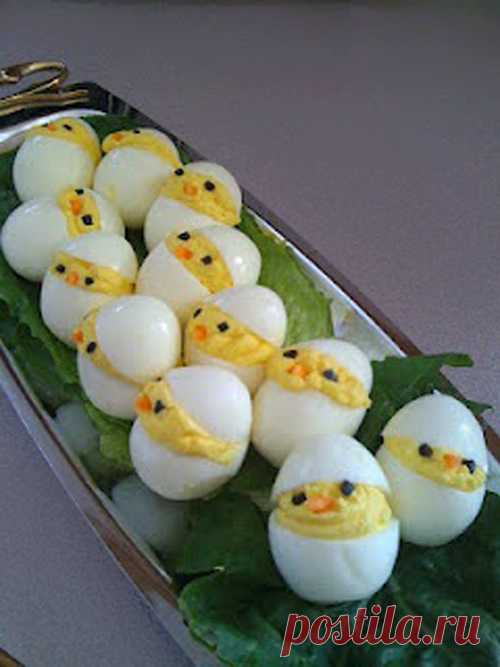 Pollos de huevo duro!