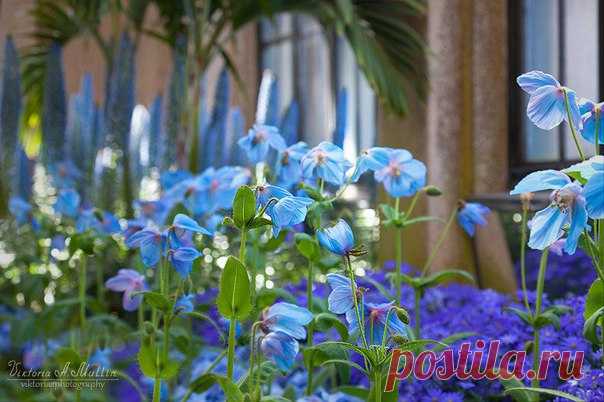 12 Июня 2017 г. – Понедельник • Всемирный день борьбы с детским трудом (World Day Against Child Labour)15 лет • День гуляния с воздушным шариком • День принятия Декларации о государственном суверенитете Российской Федерации (День России)26 лет • День рождения противогаза168 лет • День влюблённых - Бразилия • День работника фондового рынка - Украина • День независимости - Филиппины • День Хельсинки - Финляндия • Именины у Исаакия, Иоанна, Онуфрия, Никанора, Василия • Исаакий Змеевик