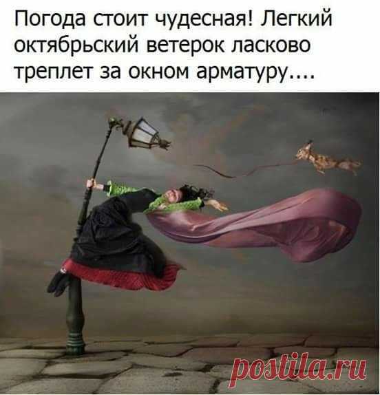 Russian Speakers in Ireland