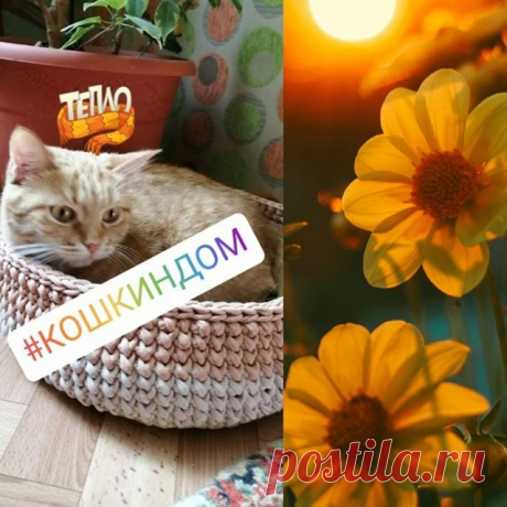 Photo by Татьяна-вяжу и продаю on June 04, 2020. Нет описания фото.