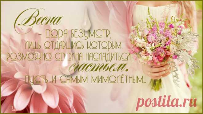 Когда я молчу.... слушай внимательно...