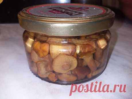 Вкусный рецепт маринованных лисичек. Грибы быстро готовятся, с аппетитом съедаются | грибной критик | Дзен